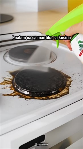 Effective Ways to Remove Grease in the Kitchen