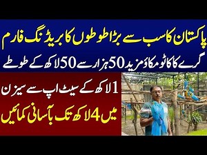 9.6K views · 527 reactions | parrot farming business idea ｜｜ parrot farming is most profitable business in Pakistan | Sada Sohna Des Punjab | Facebook