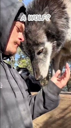 Always Check Your Surroundings! Girl Freezes as Something Sneaks Up Her Feet 😱