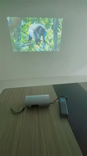 You need it | Small projector | KSW | Unboxing | Home cinema #KQ8#mini projector#4K projector