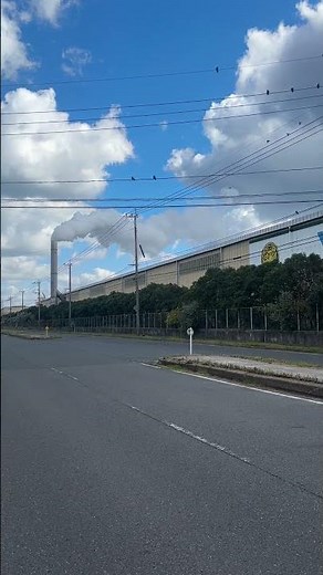 僕はタイガー！！吉野石膏