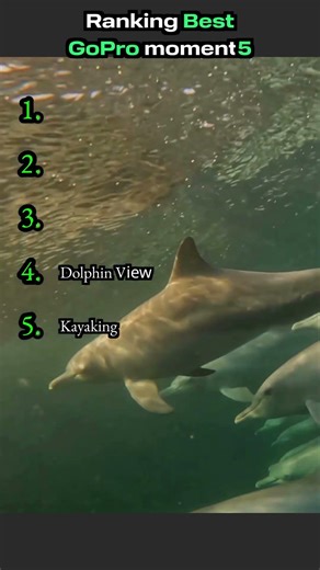 Raking Best Gopro moment5. Wait until #1 😳