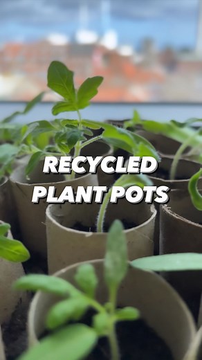 Armen Adamjan on Instagram: "How to save money with toilet paper!🤩🌱 . This is included in my books, in more detail! Plus a bunch of other plant hacks, tips and tricks! Grab a copy on my website: CreativeExplained.com! 🙌 BOOK 2 just got released with all new plant hacks :) . . #reuse #plantbased #garden #gardening #plants #plantsofinstagram #gardenlife #lifehack #hacks #diy #recycle #sustainableliving #howto #toiletpaper #growyourownfood #plantstagram #creativeexplained #kitchenhacks #organicg