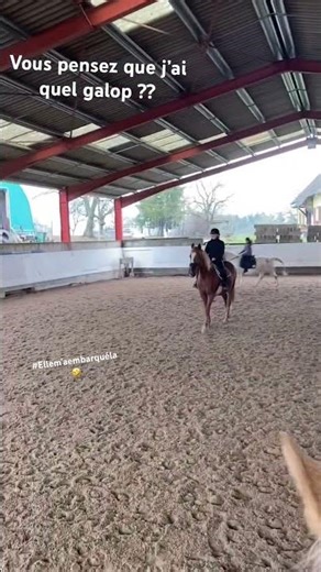 Bréra qui m’embarque 🤣🤣 #horse #equestrian
