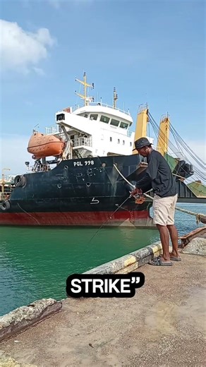 Cast, Land, Instant Fish Bite