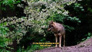 1.2K views · 11 reactions | Welcome back to my tall tales! Today i want to tell you the story of explaining appropriate outfits to my old fashioned mother. So my mum is a dinosaur! She is all about propriety! Trying to explain the concept of appropriate outfits for teenagers is a whole production.#africantales #africanstore #AfricanHistory #africanstyle | Ama Manson | Facebook