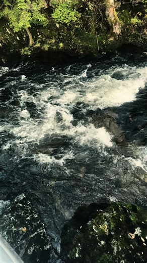 cleanse me | cleanser