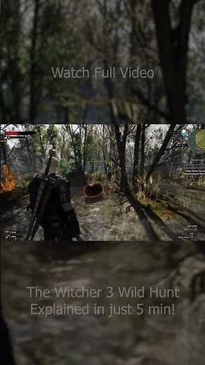 GOOD or BAD? The Witcher 3 Wild Hunt Explained!