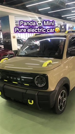 Panda Mini Electric Car: Fun and Eco-Friendly Drive