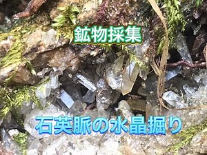 鉱物採集 石英脈の水晶掘り