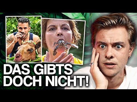 DAS DSCHUNGELCAMP, wo Tiere quälen witzig ist..