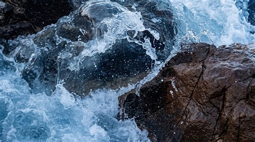 Insane footage of shark hunting turtle on camera