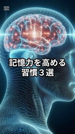 【生まれつきじゃない】記憶力を高める習慣3選｜覚えたことが抜けない脳の使い方とは#記憶力アップ #脳科学 #学習習慣