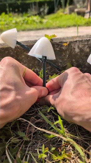 My garden looks like a fairy tale thanks to these glowing mushrooms from Voghion.com