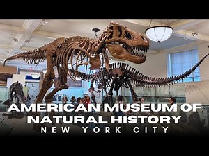 American Museum of Natural History Tour & Review | Must-See Exhibits, Tips & Full Visitor Guide NYC