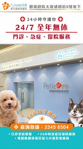 24/7 Emergency & Hospitalization for Your Beloved Pets! Peticare Kowloon East Animal Hospital provides round-the-clock emergency care and hospitalization services. #PetEmergency #247Vet #PeticareKowloonEast | 珍寵東九龍動物醫院 Peticare Kowloon East Animal Hospital