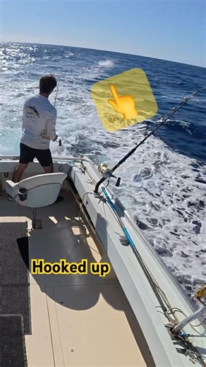 Mahi Mahi Coming in Hot!! Missed two bites but got one on the third! #deepsea #ocean #outside