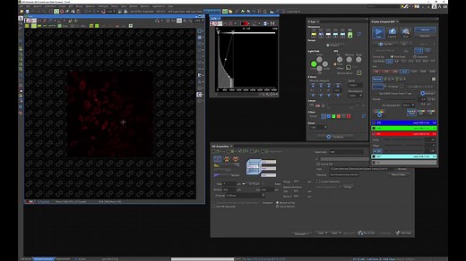 共聚焦三维堆叠扫描 Z-series tutorial using NIS-Elements