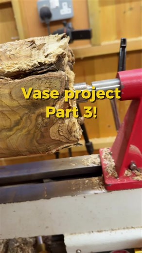 Creating a Stunning Vase from Tree Roots