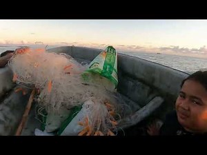 Net fishing - Pohnpei, Micronesia