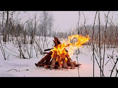 Fireplace Sounds for Deep Sleep | Winter Forest Campfire