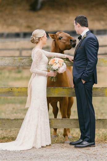 When two hearts say “I do” 💍 … and one curious guest just had to join in 🐴💕 A perfect blend of romance, laughter, and unforgettable memories. #ForeverAndAlways #WeddingMagic #RusticLove #HappilyEverAfter | Horse Grapevine
