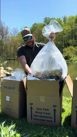 Stocking Bass Pond With Thousands Of Live Fish