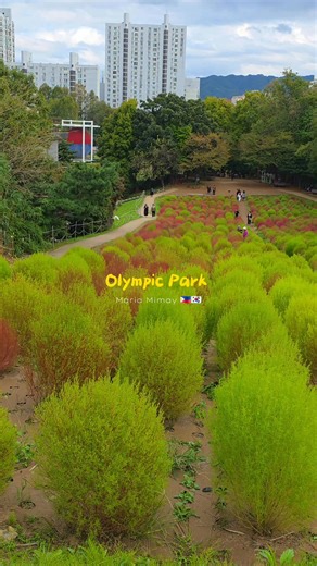 1.1K views · 11 reactions | taken yesterday...for your autumn...