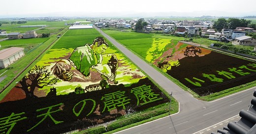 This Japanese Village Creates Massive Rice Paddy Art Every Year
