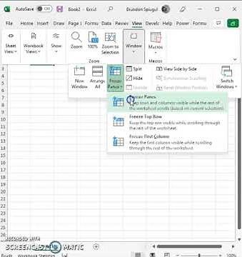 How To Freeze The First (left) Column and First (Top) Row In Microsoft Excel #shorts #excel #howto