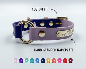 Custom Biothane® Dog Collar With Personalized Nameplate | Bespoke O-ring Collar | Waterproof Dog Collar | Brass Buckle Dog Collar With Name - Etsy