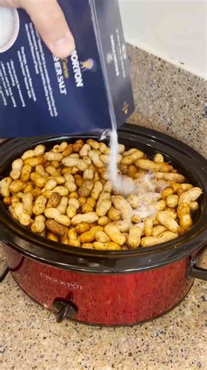 Boiled Peanuts