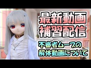 最新の正論パンチ回、補習講義します【ドール/等身大ドール/ラブドール】