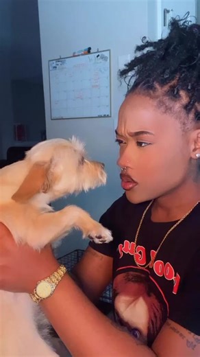 Practice Tatt Of Chucky. This Scene From The 1988 Movie Was Hilarious! Spooky Season Is Approaching And I Wanted To Try Out My New Tatt Tool. My Puppy (Tori) Did Get Paid For Her Role In This Video. 🎨💛 #fyp #tattooartist #tattoo #chucky #chuckytattoo #art #artistsoftiktok #tattooart #tattooartist #tattooideas #portraittattoo #tattooshop