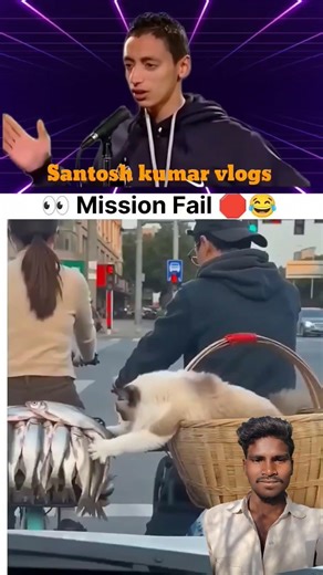 Mission Impossible: Cat vs Fish! #shorts#funny