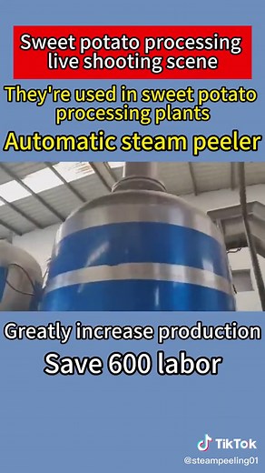Steam peeling machine on TikTok