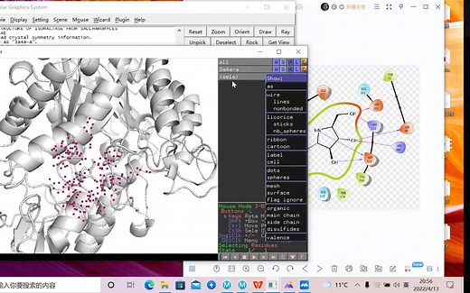 pymol做分子对接3D图，处理薛定谔分子对接后蛋白-化合物可视化