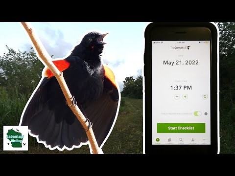 How to use the eBird Mobile App: A Beginner's Guide