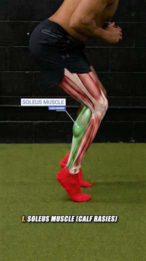 3 Muscles You NEED to Train as a Sprinter