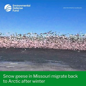 10K views · 174 reactions | One...two... wait—are we going on "3" or...