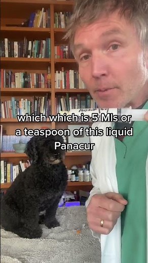 Panacur dewormer for Dog and Cat Cancer: what’s the dose?