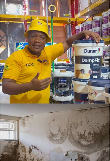 Effective Damp Wall Repair Solutions