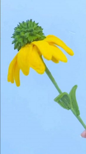 Wow Super Beautiful Flower 🌸 #song #diy #flowerarrangements #flowercrew #art #music #adorablecrafts