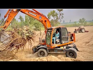 Excavator Power! Uprooting Big Trees with Doosan Machine | Heavy Equipment Working