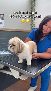 18K views · 22 reactions | Our vet-owned, local clinics embed your pet’s doctor in your community – they’re (literally) invested in providing the best care. Schedule an appointment today through our convenient booking tool! | GoodVets | Facebook