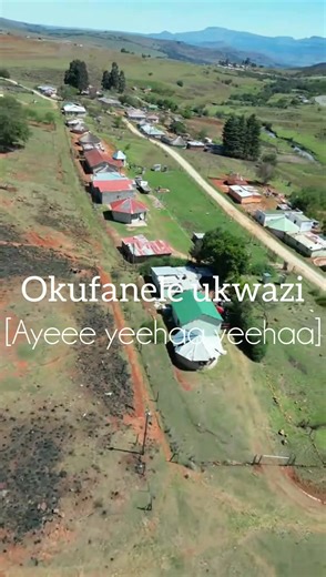 55K views · 2.2K reactions | Ey unama hit amaningi nangu umuntu, mina ngibona ukuthi zonke izimpimpi kumele zithunywe impuphu evuthiwe ngoba zifaka I soil kwi porridge  lethu nathi sizizamela emsebenzini Ey konje kuthiwe leligama lophuthu singasalisebenzisi komaskanda蠟 | MENZI Fans | Facebook