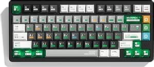 COSTOM PBT+PC Keycaps with 160 Keys, Cool Custom Keyboard Caps 60 75 65 100 Percent, Cherry Profile Dye Sublimation PBT Keycap Set for Full Size Mechanical Gaming Keyboard,Green Chemistry Theme
