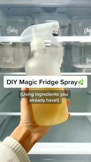 16K views · 155 reactions | The perfect DIY to try out before your next grocery shop 塞 this simple DIY leaves your fridge spotless and can be made with ingredients you probably | Kate Clean Home | Facebook