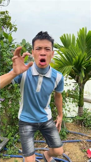 Super Cute Slippers You’ll Fall in Love With 😍👡#shortvideo