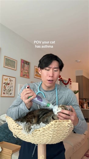 Bean says thank you to everyone who watches her videos! It goes to her inhaler fund #nursesoftiktok #catsoftiktok #catlover #cattok